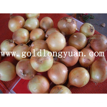 2016 New Crop Fresh Yellow Onion